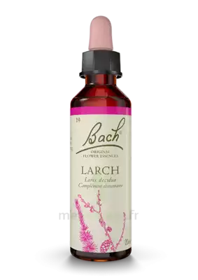 Fleurs De Bach® Original Larch - 20 Ml à Le Teich